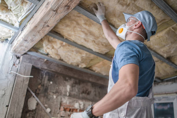 Best Home Insulation Services  in Owensville, MO