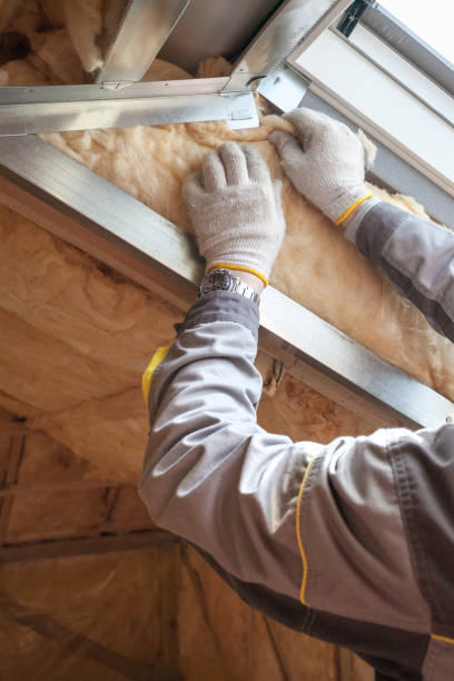 Best Insulation Removal  in Owensville, MO