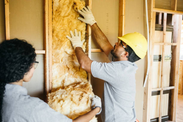 Best Cellulose Insulation  in Owensville, MO